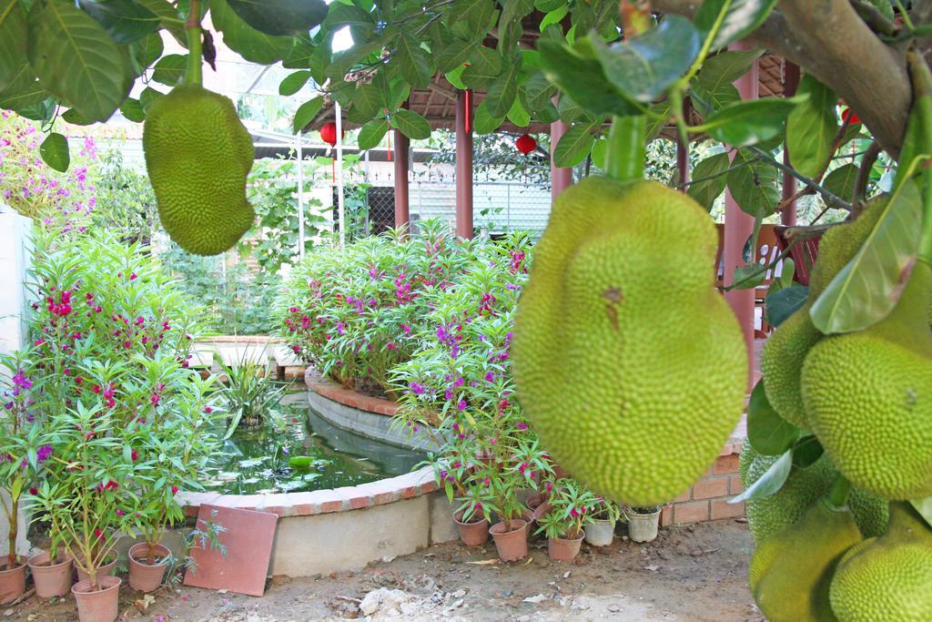 Countryside Garden Homestay Hoi An Exteriér fotografie